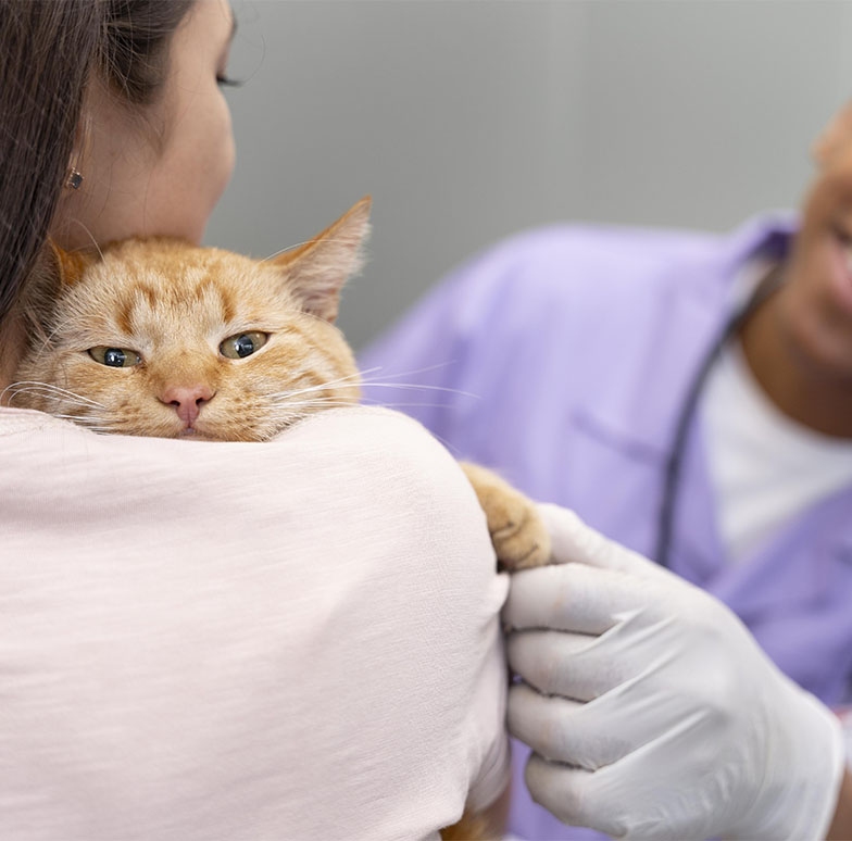 chaoubet-services_0007_close-up-woman-holding-cute-cat